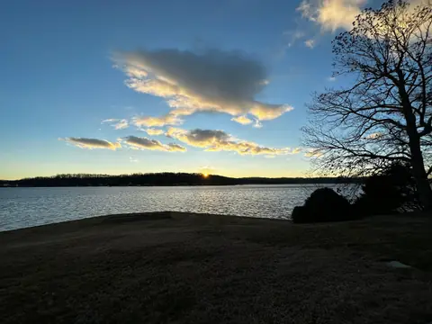 Sunset over the creek through the trees